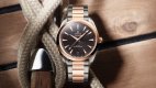 Omega Seamaster Aqua Terra 150M 220.20.41.21.06.001 18K Sedna™ gold, Automat, 41 mm