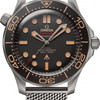 Omega Seamaster