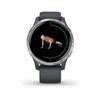 Garmin Venu