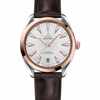 Omega Seamaster