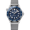 Omega Seamaster