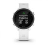 Garmin Forerunner