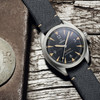 wdl-omega-seamaster-railmaster4-80ff5282cb3f25b26e77679187bf3503