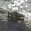 DS Action Diver