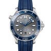 Omega Seamaster