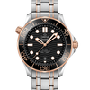 Omega Seamaster