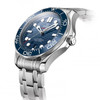 Omega Seamaster