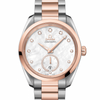 Omega Seamaster