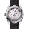 Omega Seamaster Aqua Terra