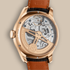 wdl-iwc-portugieser-perpetual-calendar-caseback-1765dd732cf60c7699f0759741b037d9