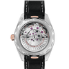 Omega Seamaster