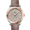 Omega Seamaster