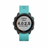 Garmin Forerunner