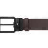 Montblanc