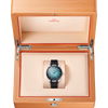 Omega Seamaster Aqua Terra