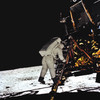 eagle-landed-courtesy-of-nasa-73d8a9da343c66414e62a3d998810175