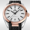 Omega Seamaster