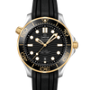 Omega Seamaster