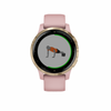 Garmin Vivoactive