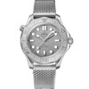 Omega Seamaster