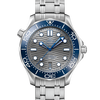 Omega Seamaster