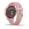 Garmin Vivoactive