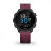 Garmin Forerunner