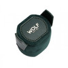 Wolf 1834