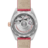 Omega Seamaster