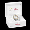 Omega Seamaster